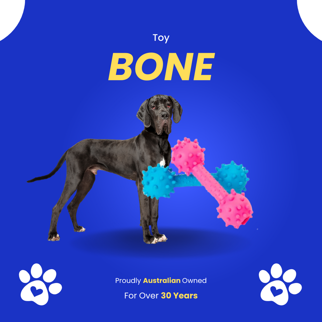 Dog Toy Bone